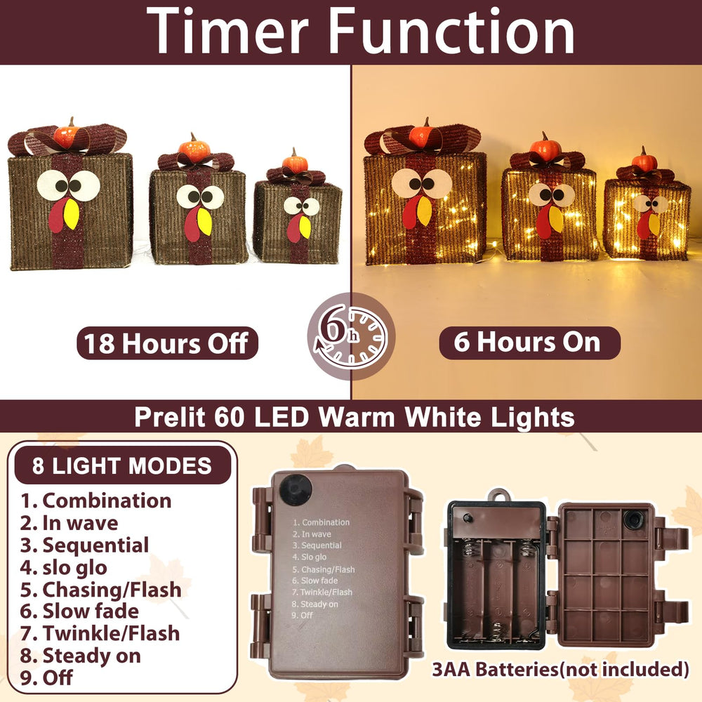 TURNMEON Thanksgiving Lighted Gift Box small size with turkey face