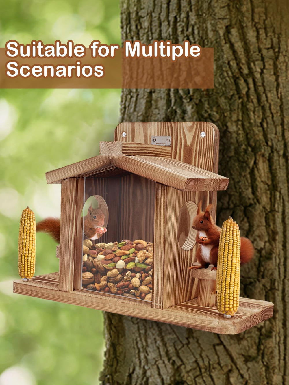 Turosur Squirrel Feeder with squirrels feeding nearby