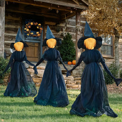TW SHINE Halloween witch decorations set of 3, 5 ft tall