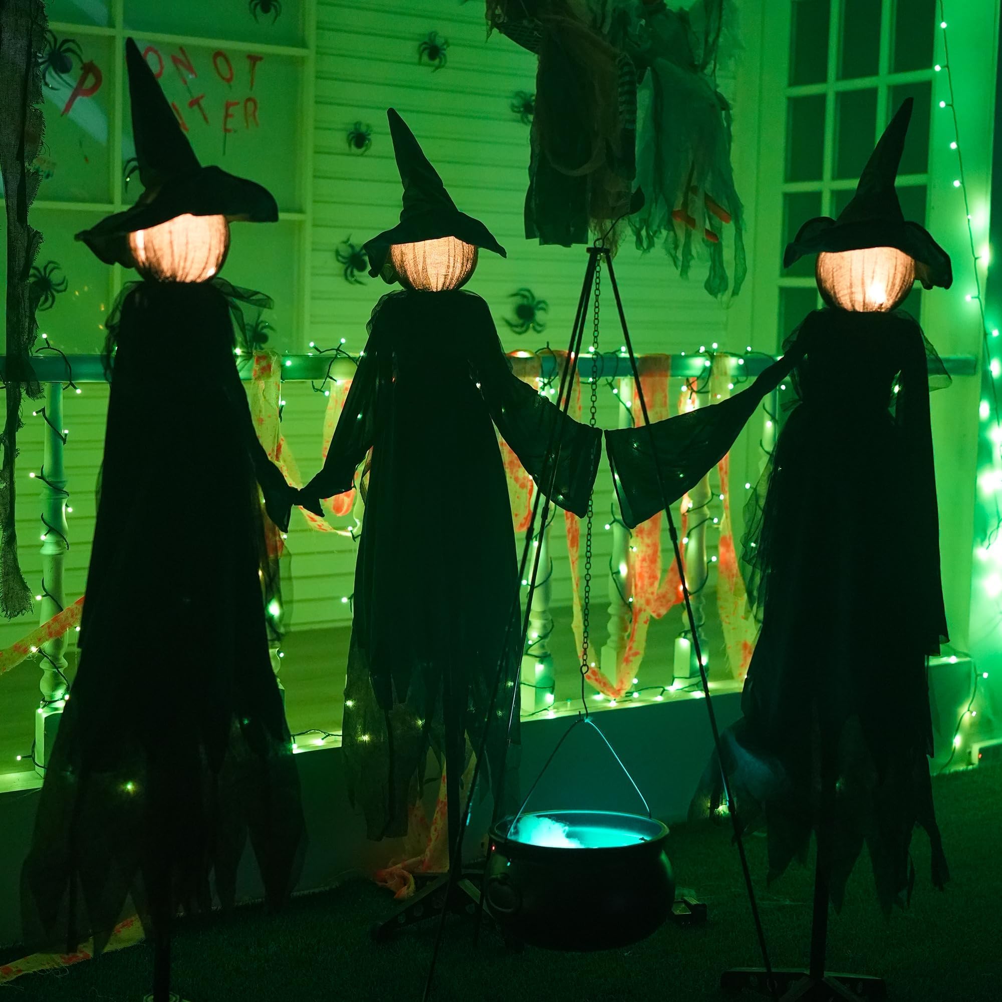 TW SHINE Halloween witches displayed during the day