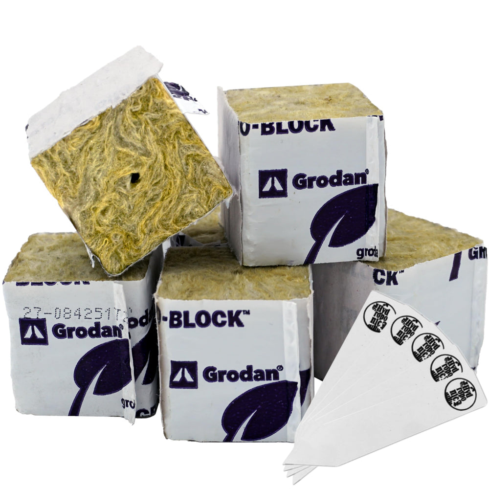 Twin Canaries 1.5 inch Rockwool Mini Blocks pack of 15