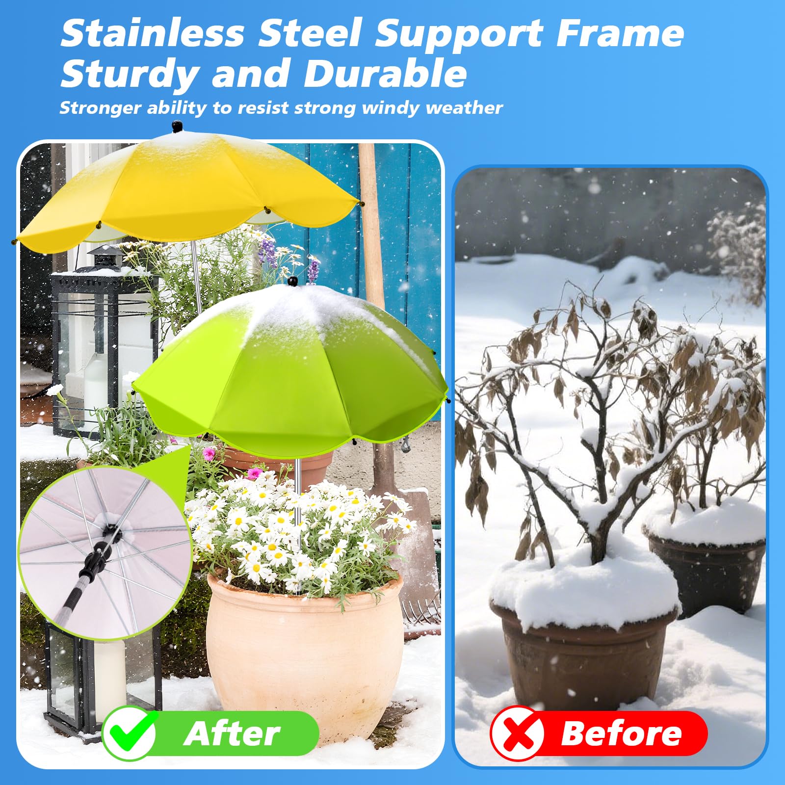 Twintaogo plant umbrella in garden setting