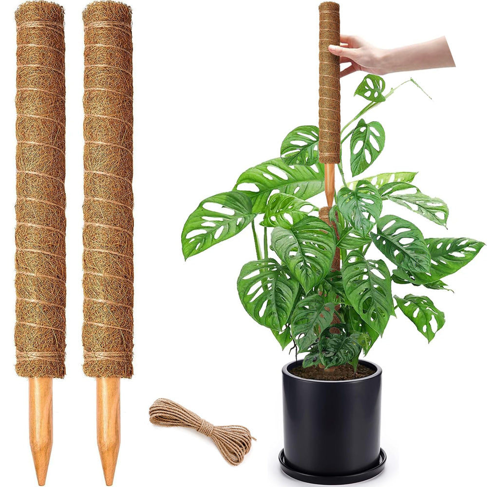 Two 17-inch brown coir moss poles with jute twine