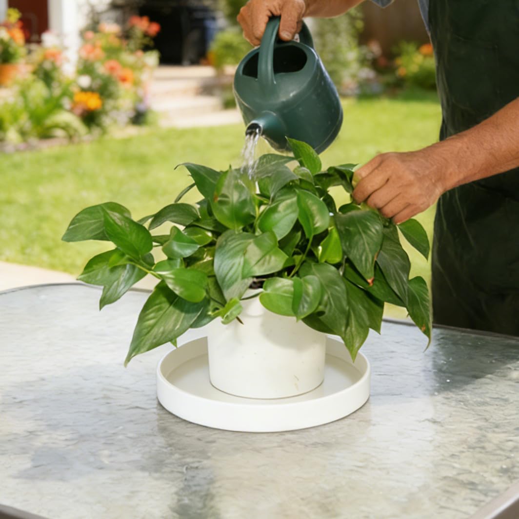 Two Afrine 6 inch plant saucers stacked together
