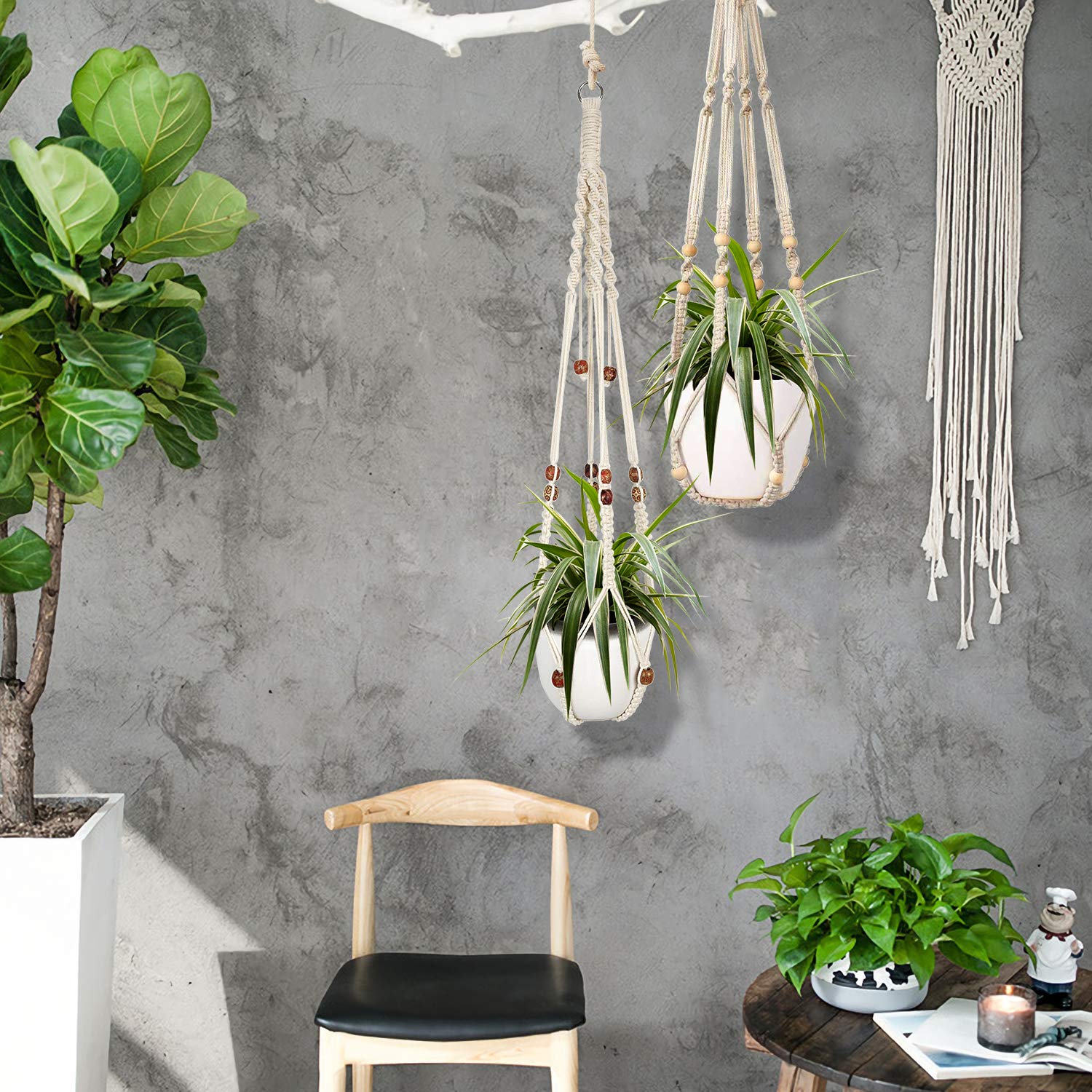 Two Augshy Macrame Plant Hangers displayed with plants