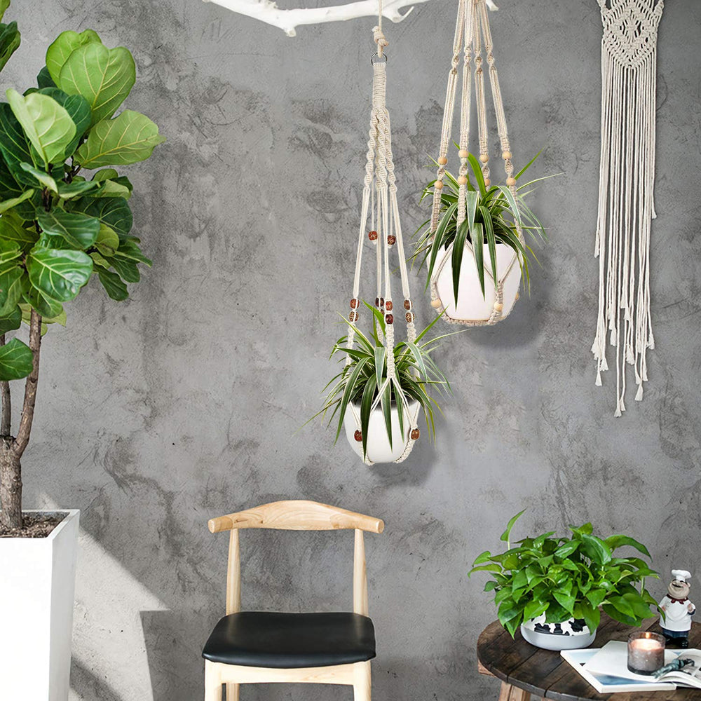 Two Augshy Macrame Plant Hangers displayed with plants