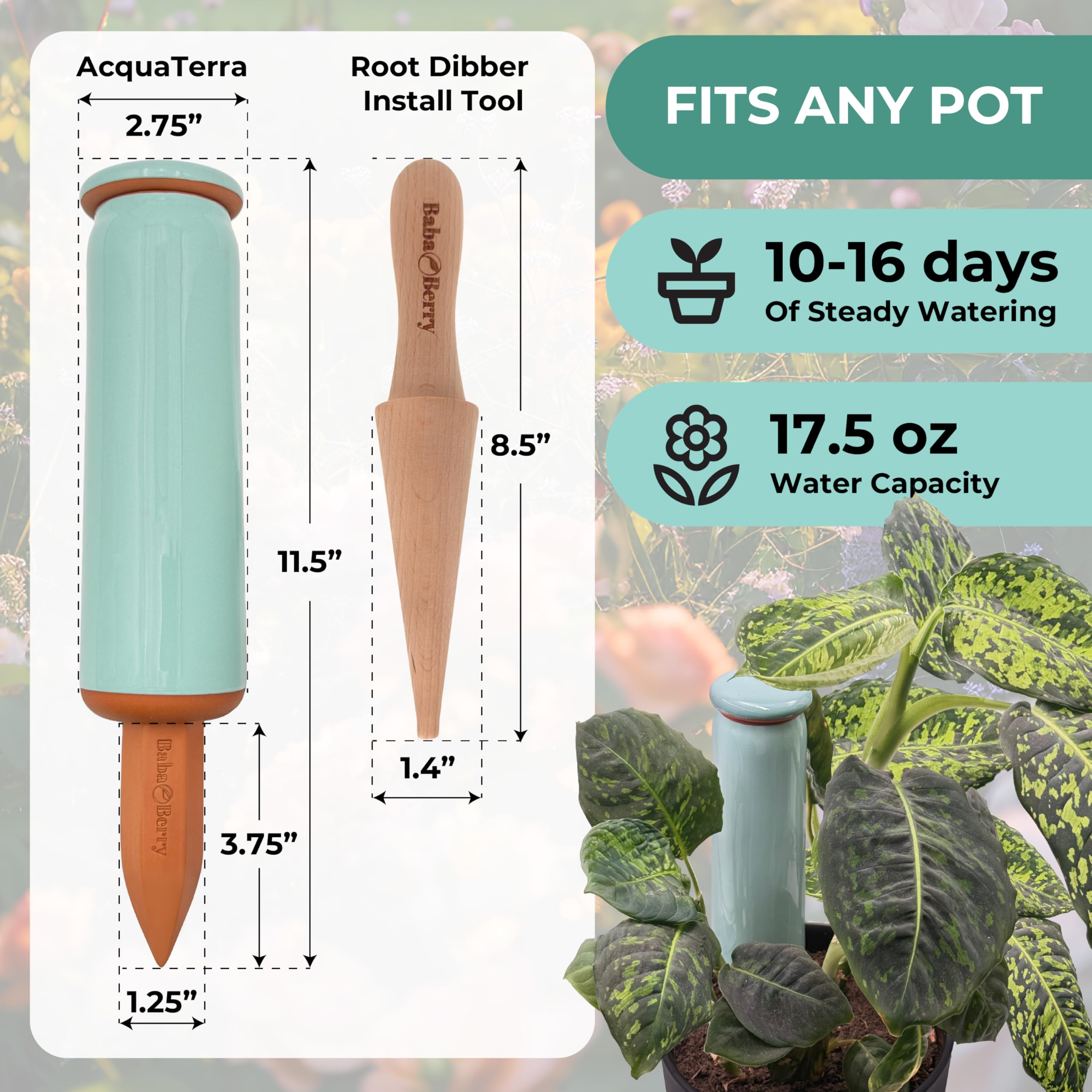 Two BabaBerry Terracotta Watering Spikes in a pot with plants