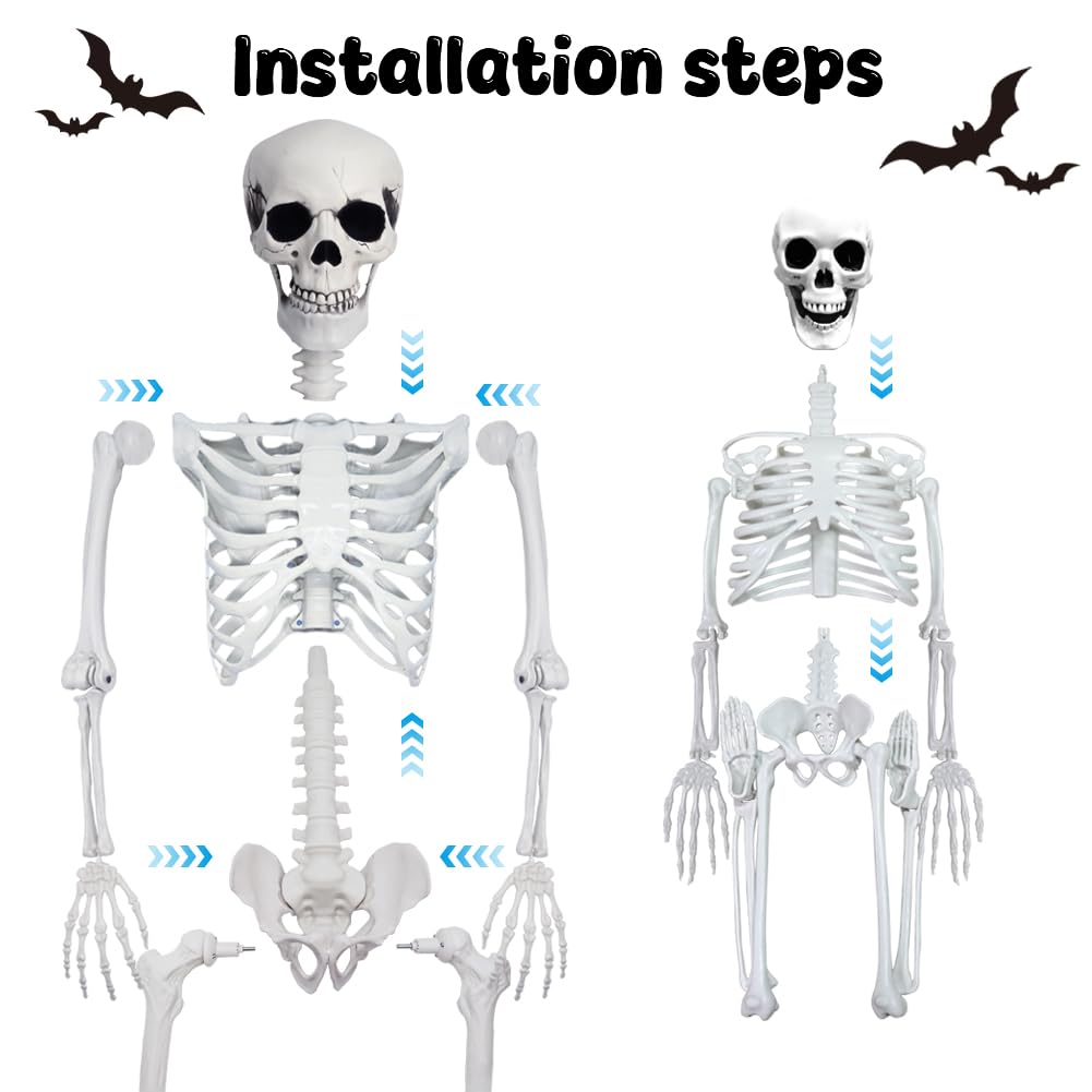 Two CAMIRUS skeletons side by side for Halloween decoration