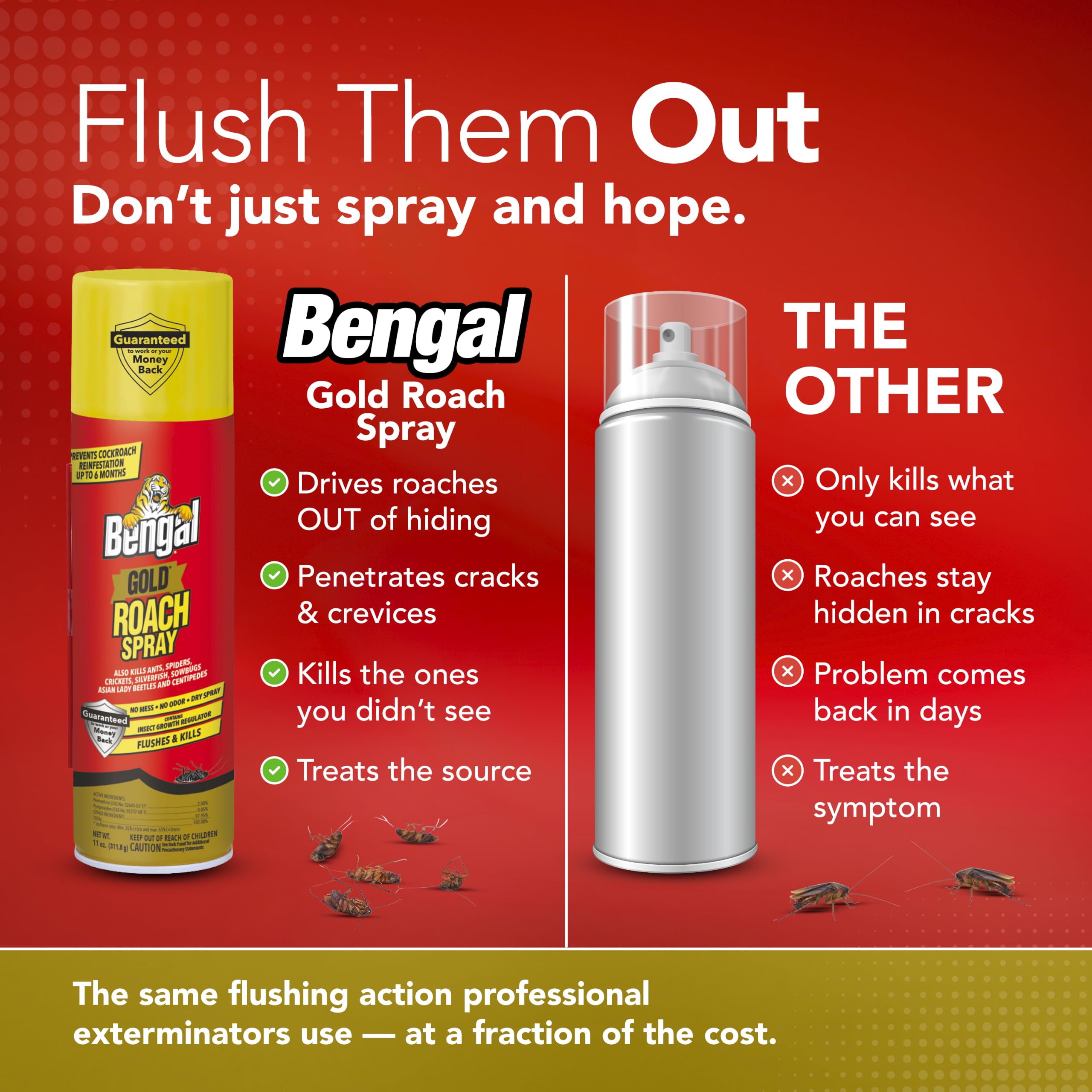 Two cans of Bengal Roach Spray 11 oz packaging display