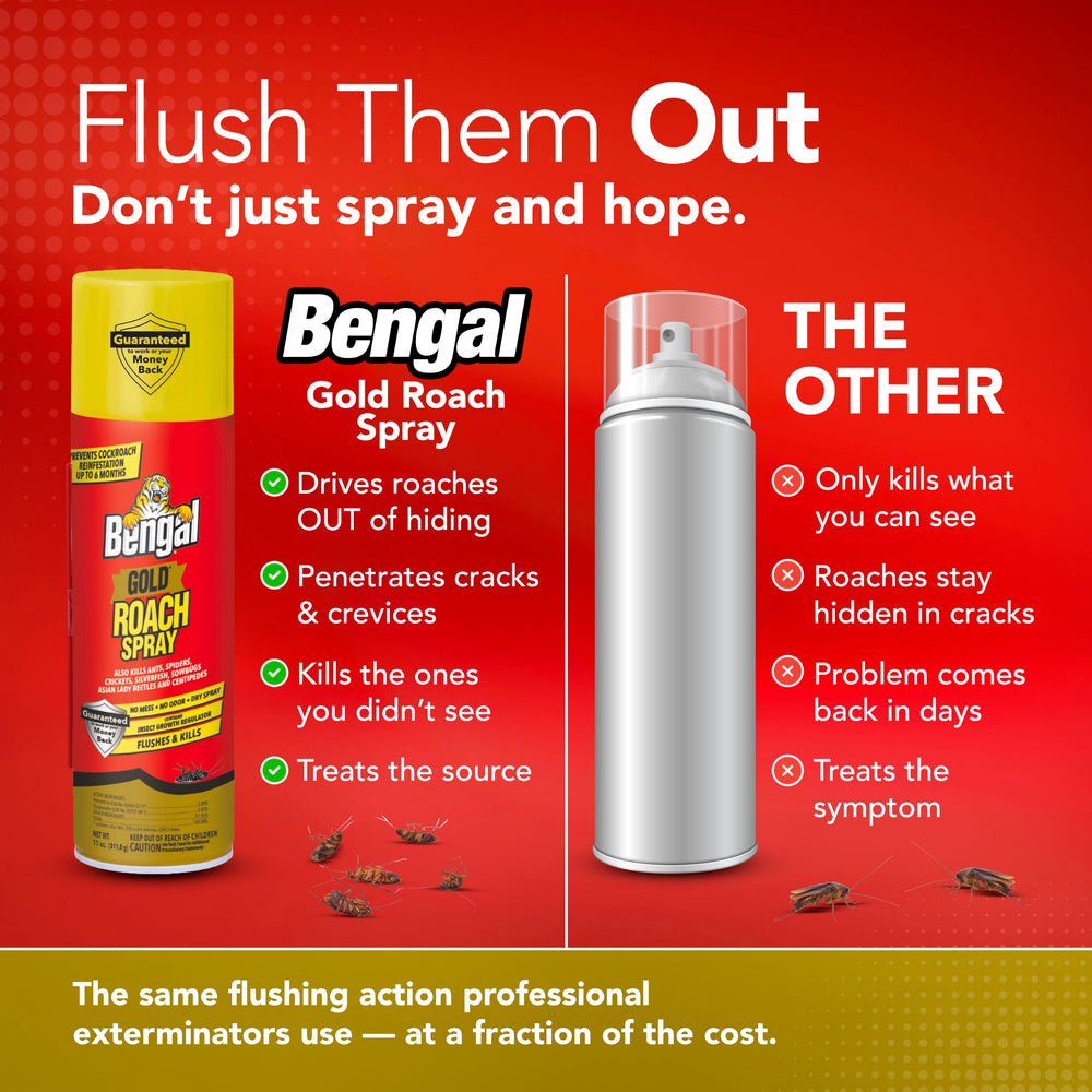 Two cans of Bengal Roach Spray 11 oz packaging display