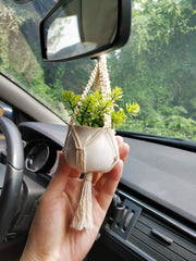 Two Dahey macrame plant hangers with greenery on a kitchen bar