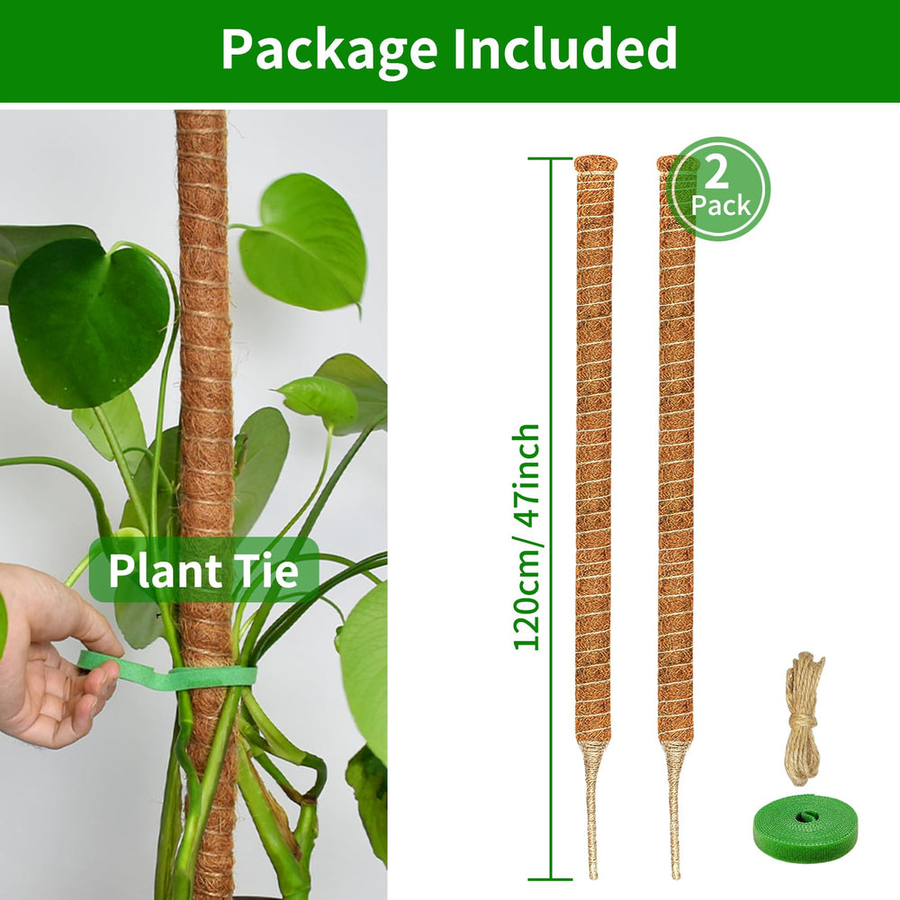 Two Dimpoo moss poles bundled together with jute rope