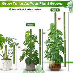 Two Duspro moss poles stacked together for plant support