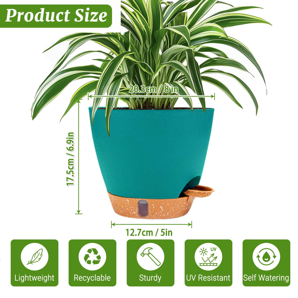 Two Fielda 8 inch plant pots with trays