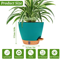 Two Fielda 8 inch plant pots with trays
