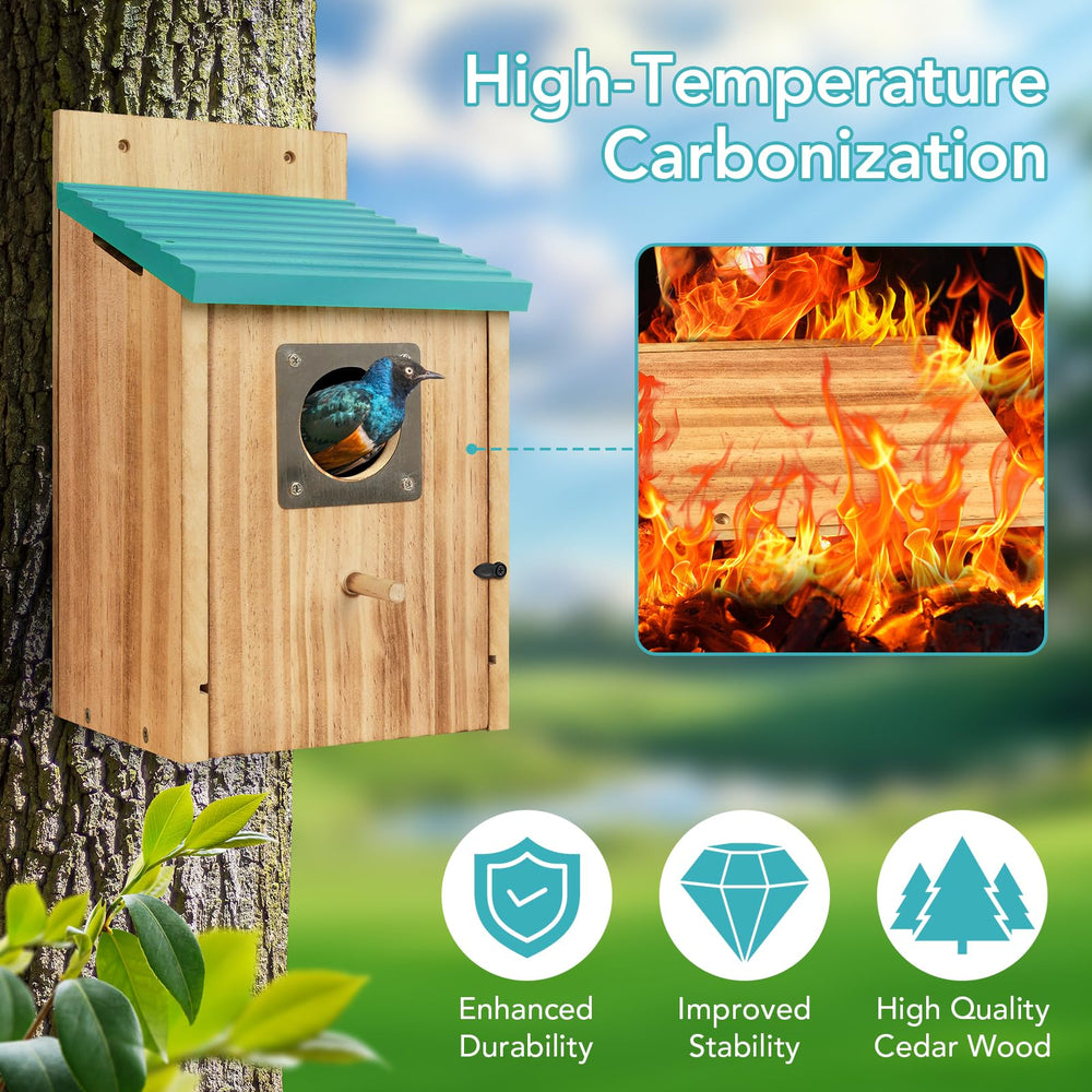 Two Fitraho blue bird houses placed in a garden setting