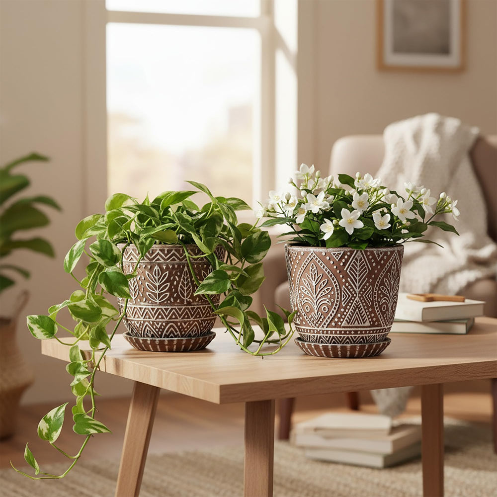 Two Gepege ceramic plant pots with matching saucers