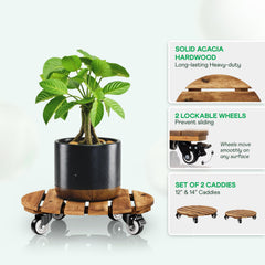 Two IDZO acacia wood caddies on patio with plants