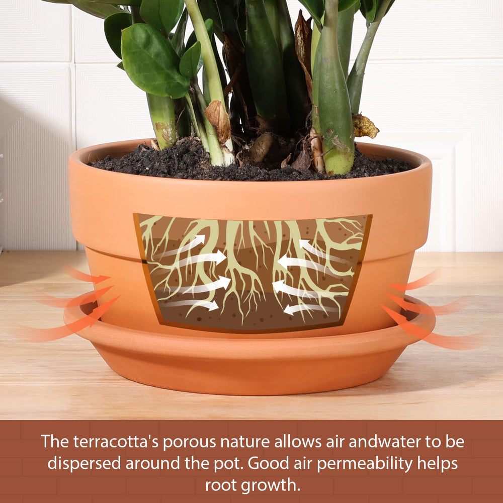 Two INGOFIN terracotta pots in a bright kitchen setting