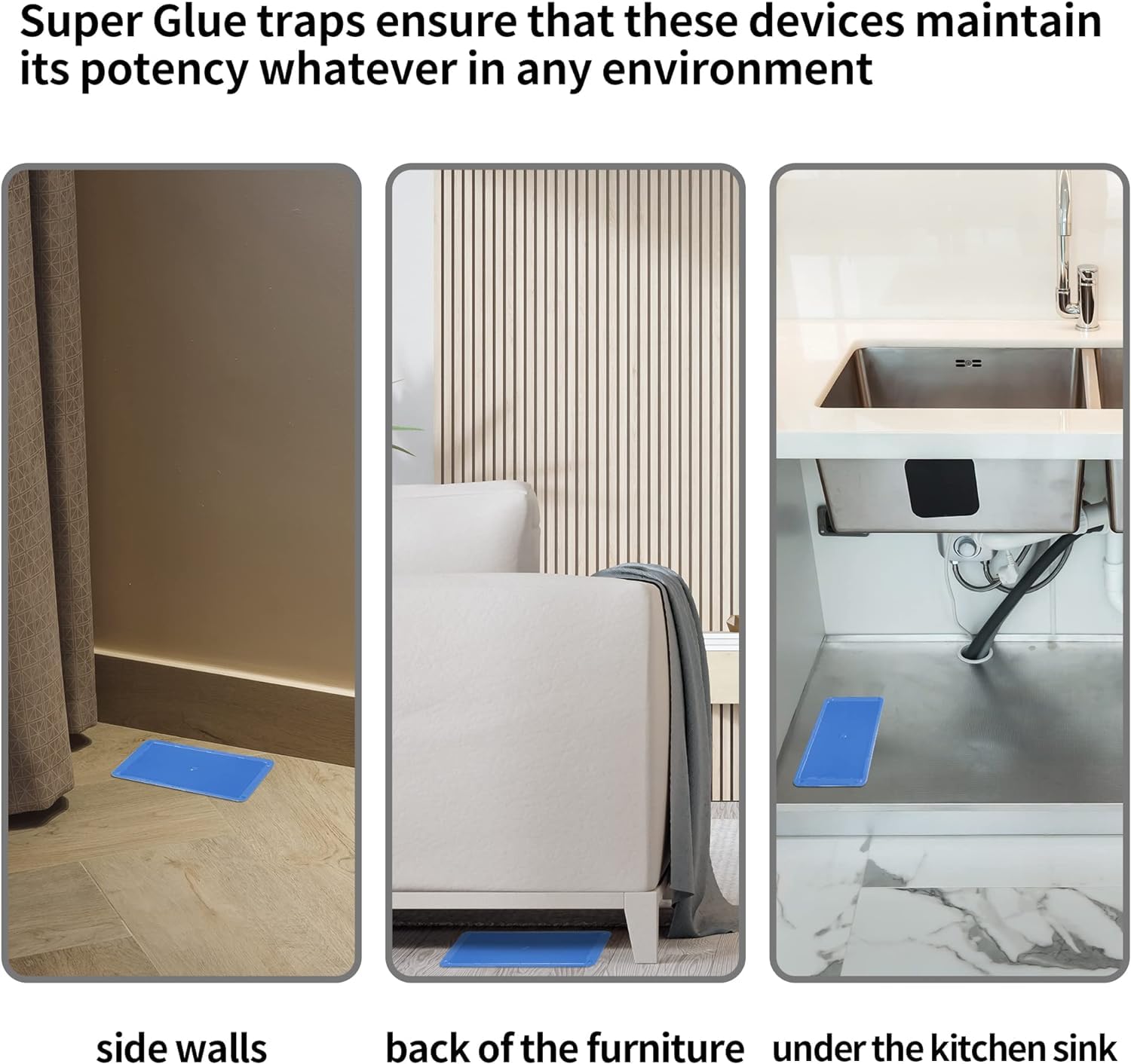 Two LULUCATCH glue traps placed in a kitchen setting