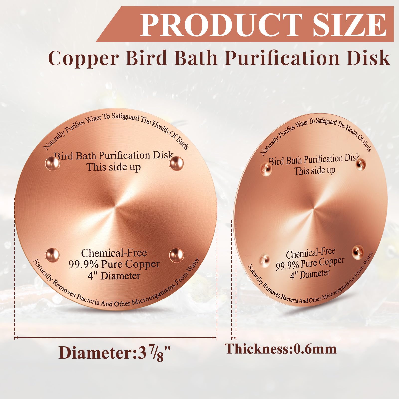 Two MorningRo copper discs for bird bath side view
