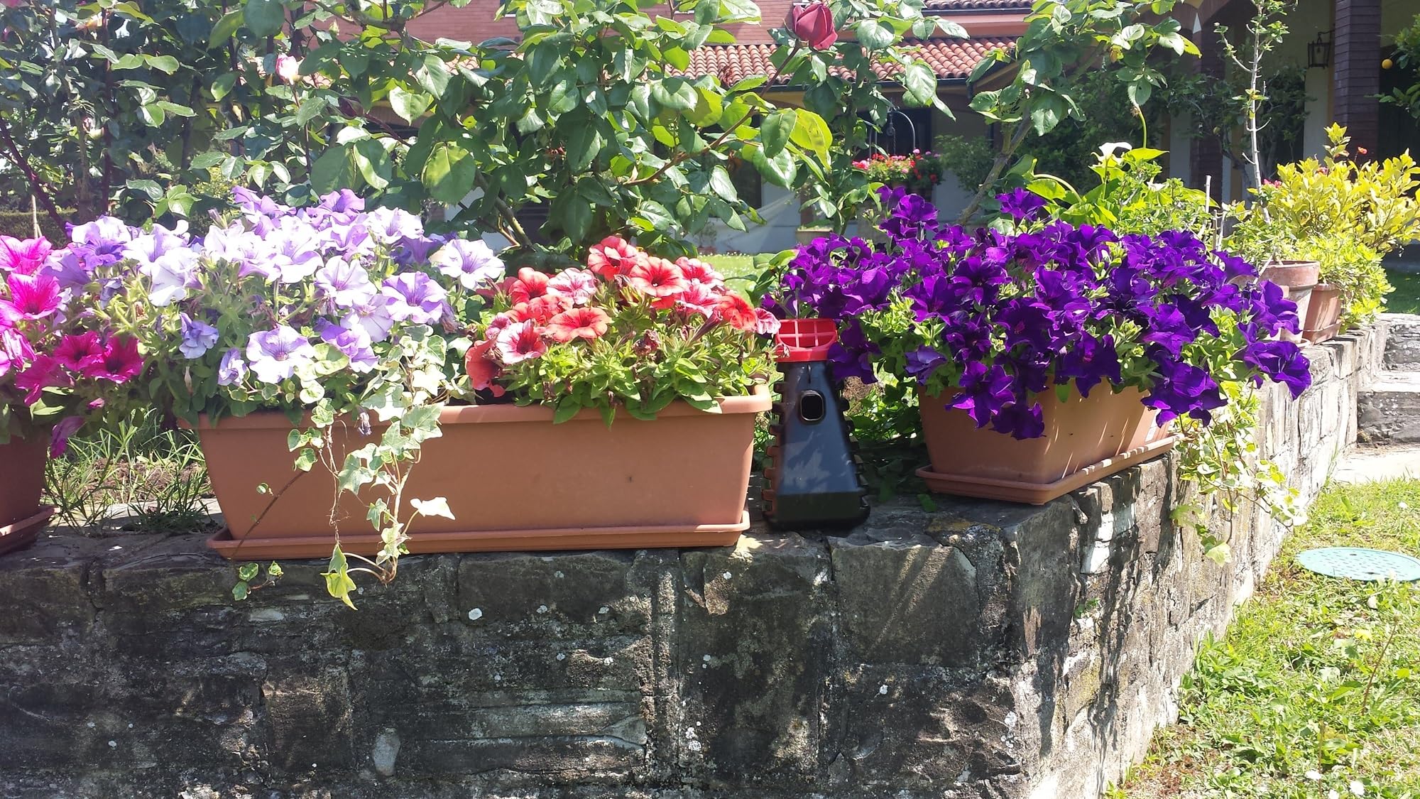 Two-pack of Grandpa Gus's Mosquito Traps in outdoor setting