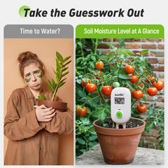 Two-pack of RAINPOINT Smart Soil Moisture Meters