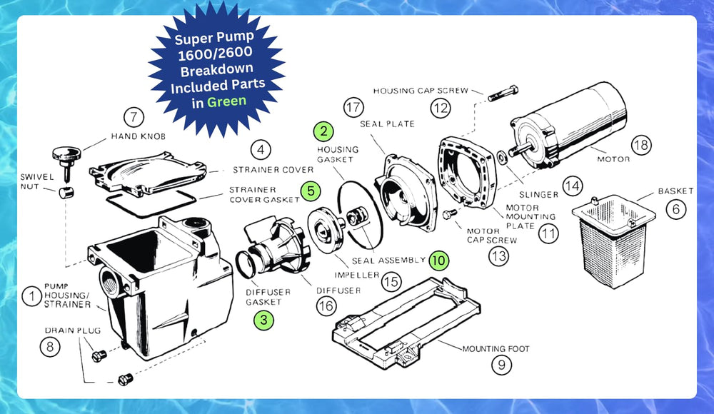 Two Piece Shaft Seal Assembly SPX1600Z2 PS-201 from Kit King seal kit