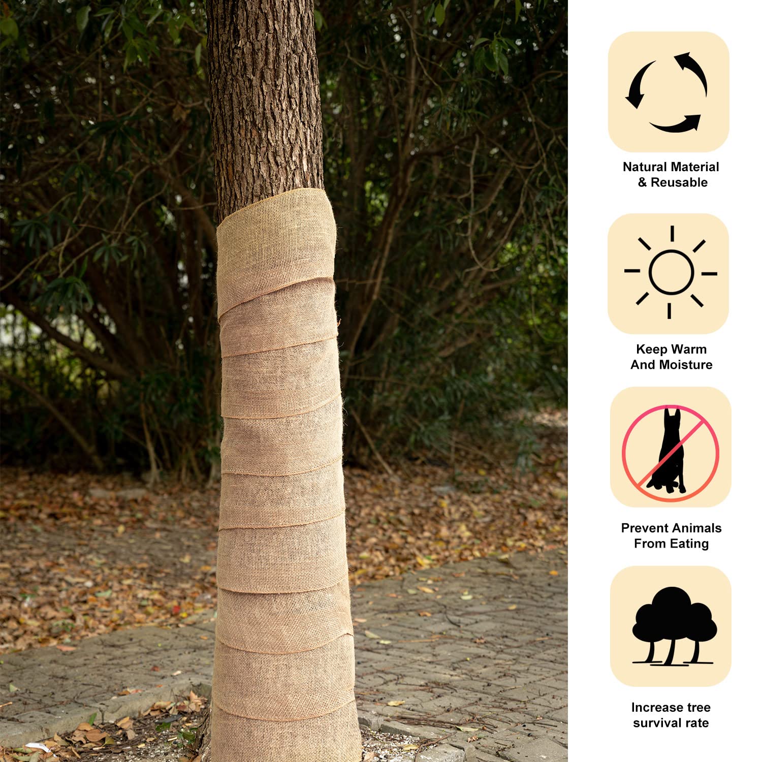 Two rolls of SYWHXY burlap tree wraps side by side
