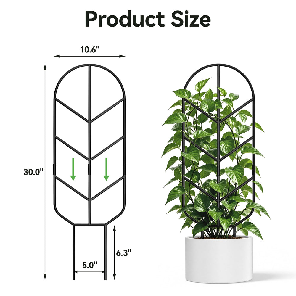 Two Saffruff 30'' metal plant trellises packaged together
