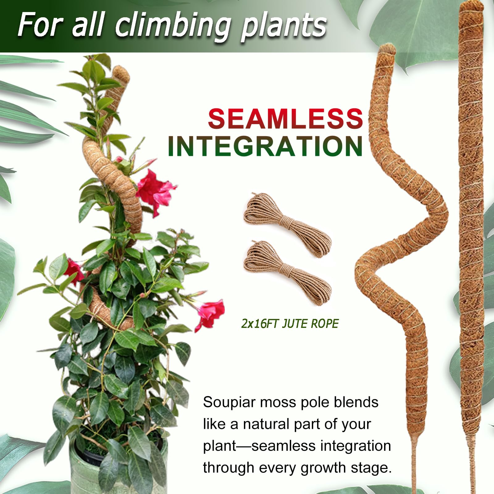 Two Soupiar moss poles packaged together