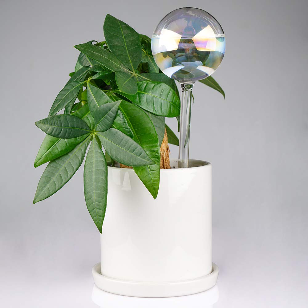 Two Tomorotec glass globes on a table