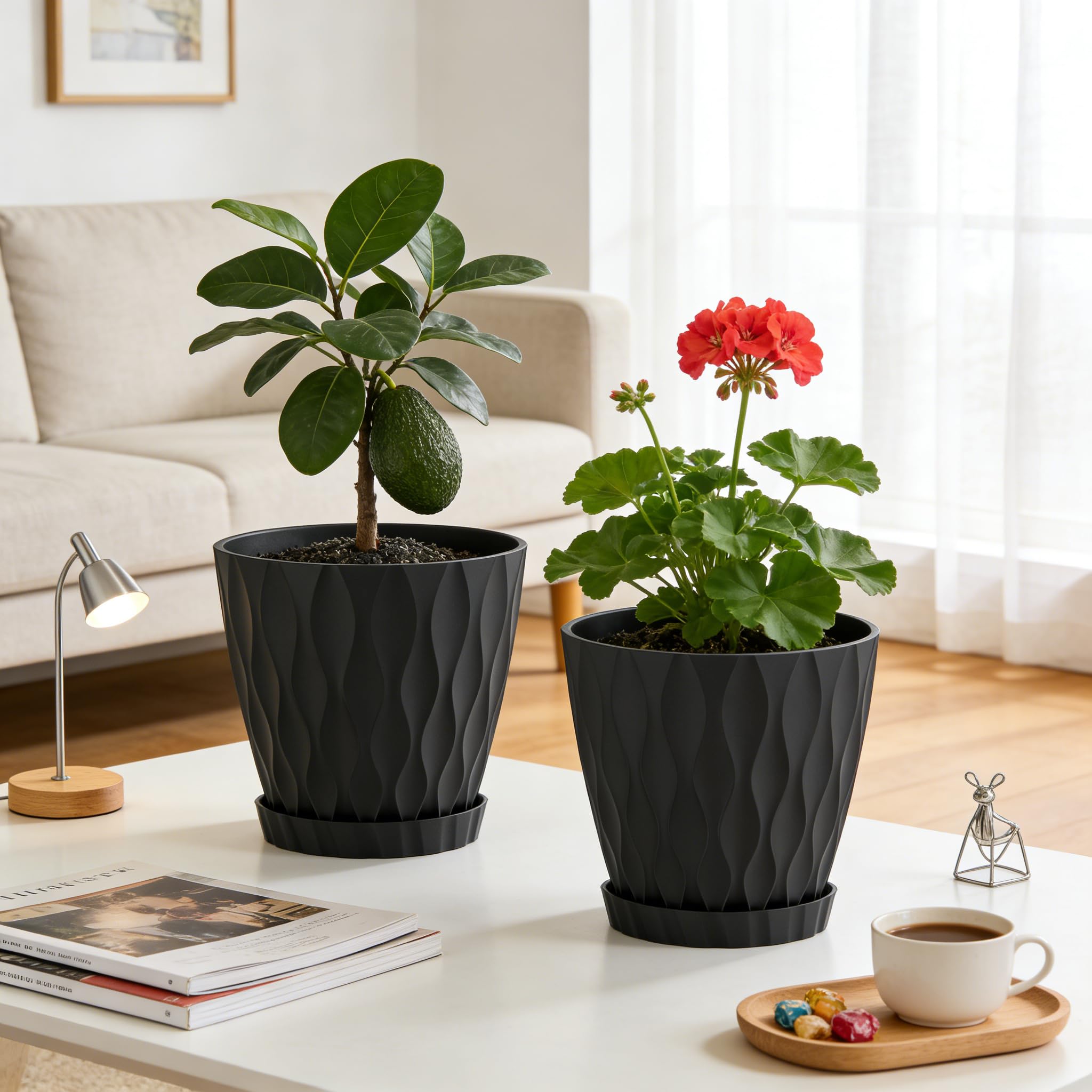 Two UOUZ plant pots with Fiddle Leaf Fig and Monstera plants