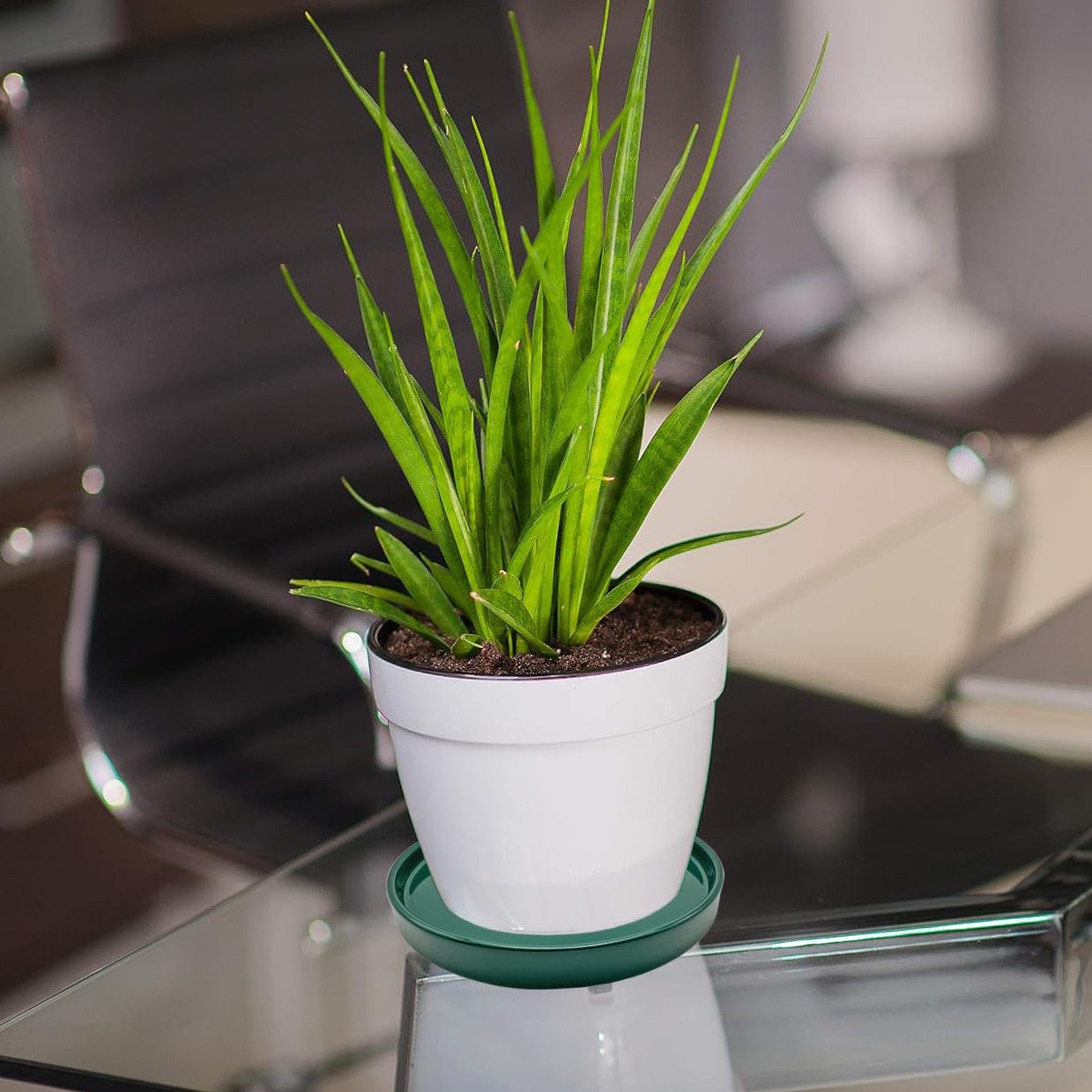 Two Yukfona ceramic plant saucer trays 7-inch green on a table