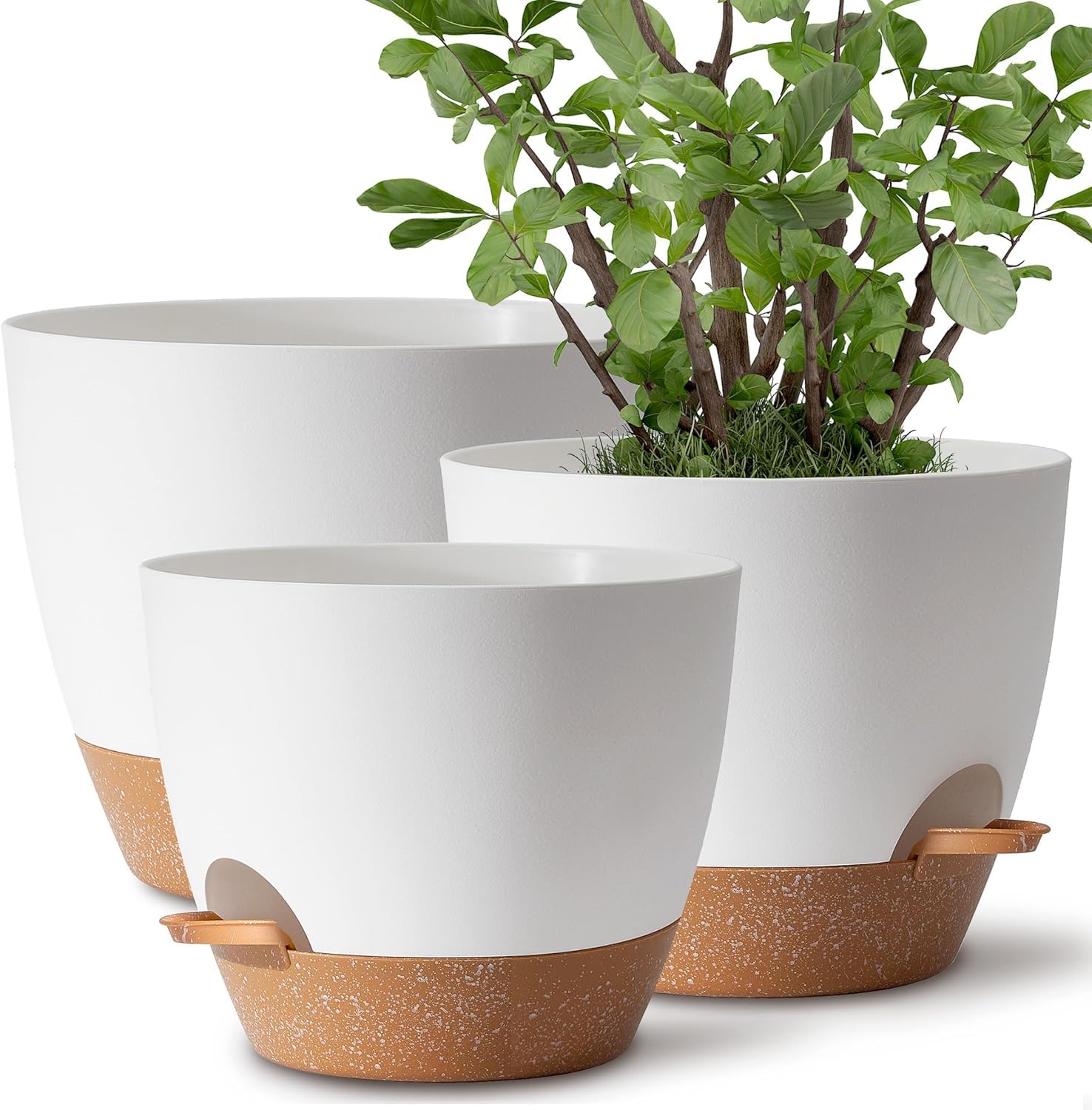 TYMENSH Plant Pots Set of 3 in white, showcasing different sizes