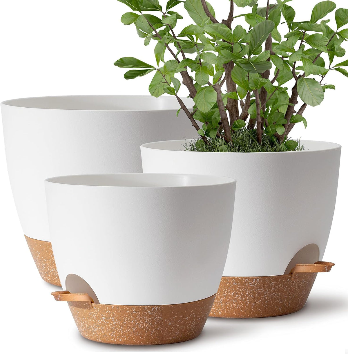 TYMENSH Plant Pots Set of 3 in white, showcasing different sizes