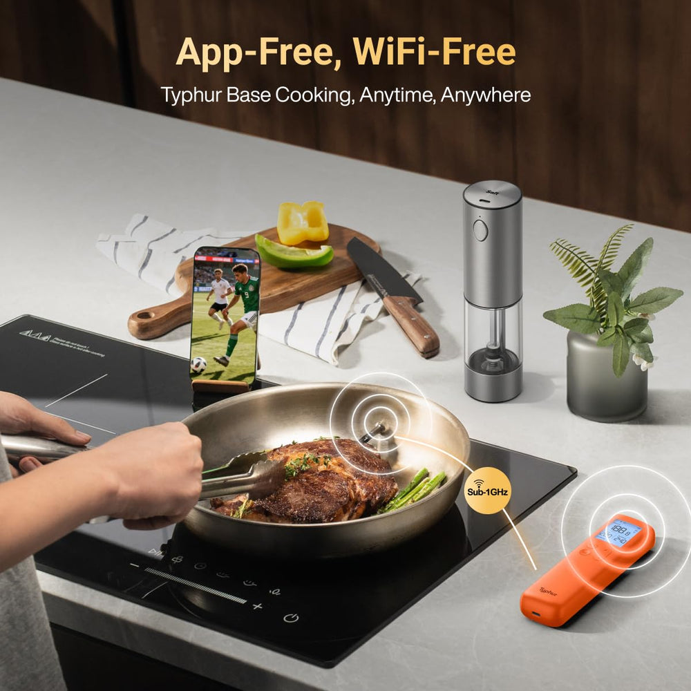 Typhur Sync Gold Gen2 meat thermometer user manual