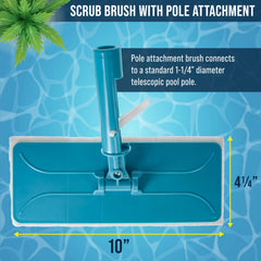 U.S. Pool Supply scrub brush blue sponge pad detail