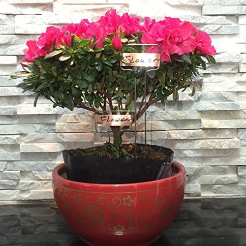 Ugold Copper Plant Labels displayed in a pot with flowers
