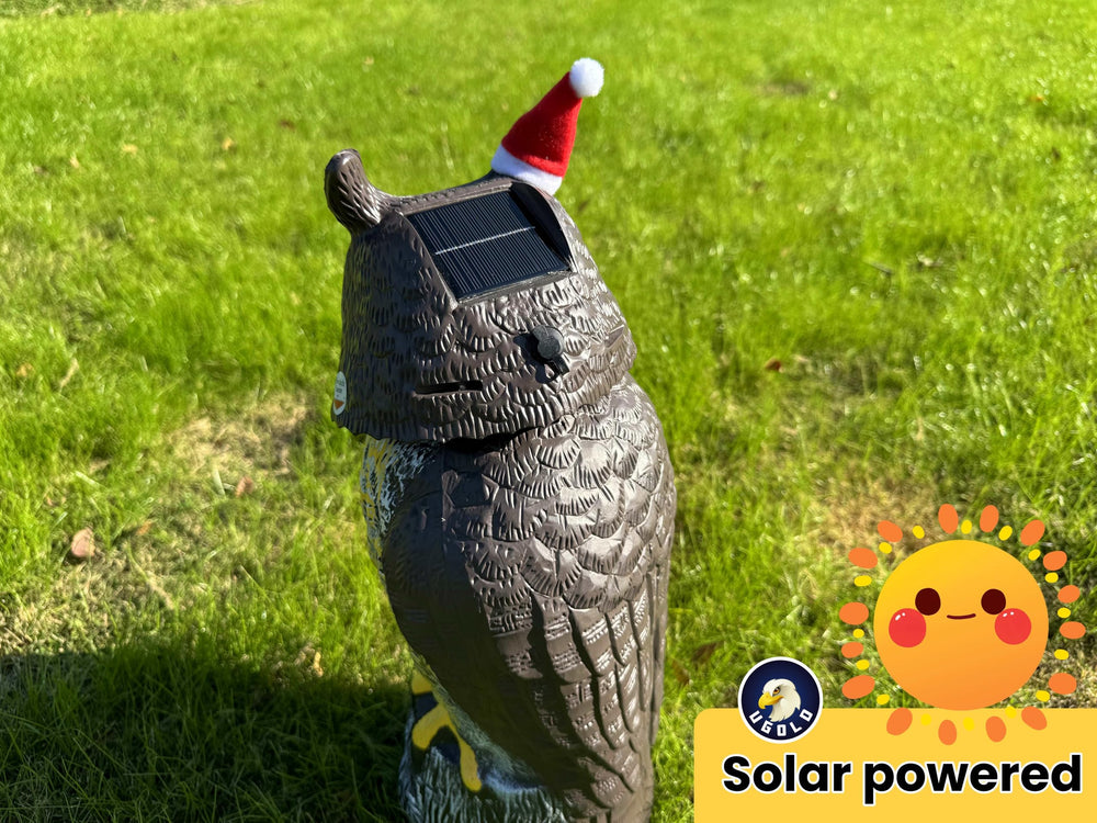 Ugold Owl statue in winter snow