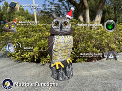 Ugold Owl statue side view showcasing rotating head