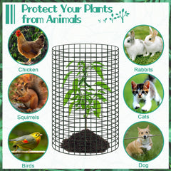 UJG plant protectors in a garden protecting various plants