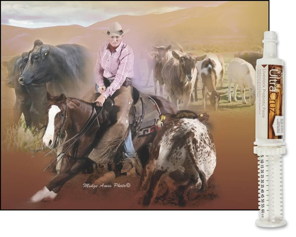 UltraCruz Probiotic Paste packaging and ingredients list
