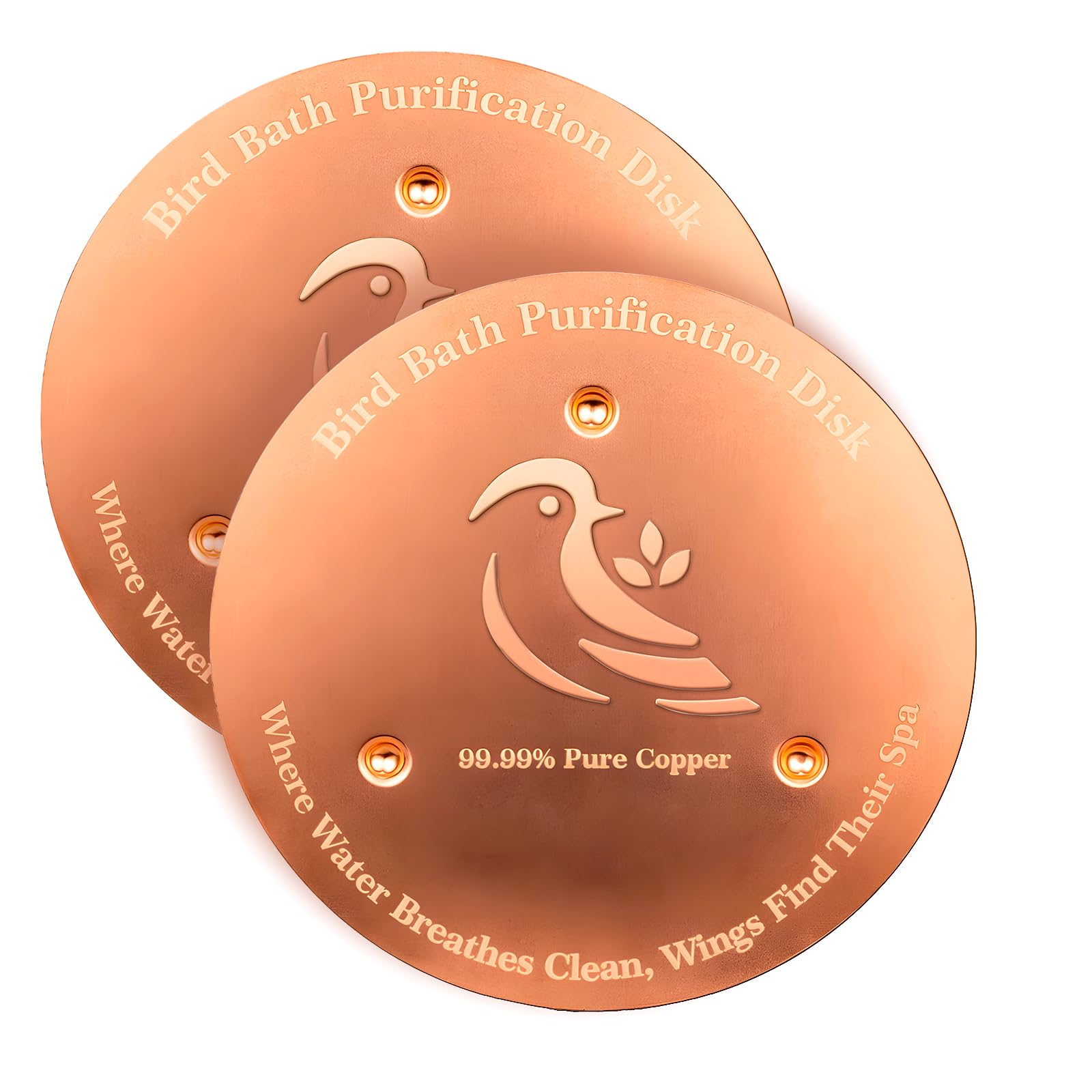 Ulycon Bird Bath Purification Disk front view, golden copper