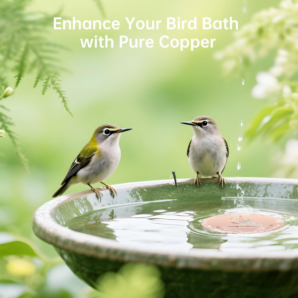 Ulycon Bird Bath Purification Disk placed in a garden birdbath