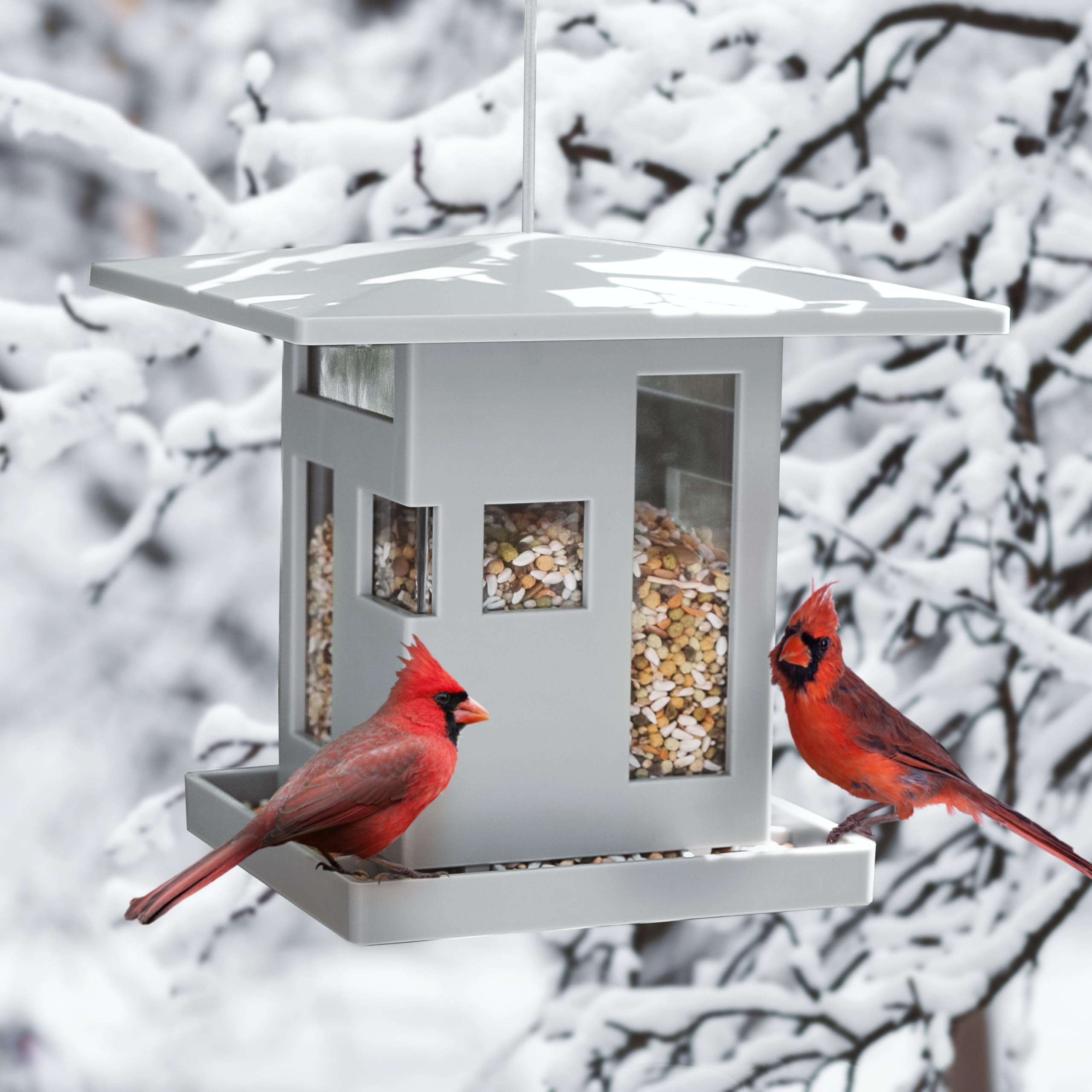 Umbra Bird Cafe Bird Feeder in outdoor setting