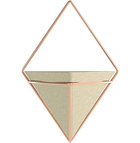 Umbra Trigg Hanging Planter with air plants
