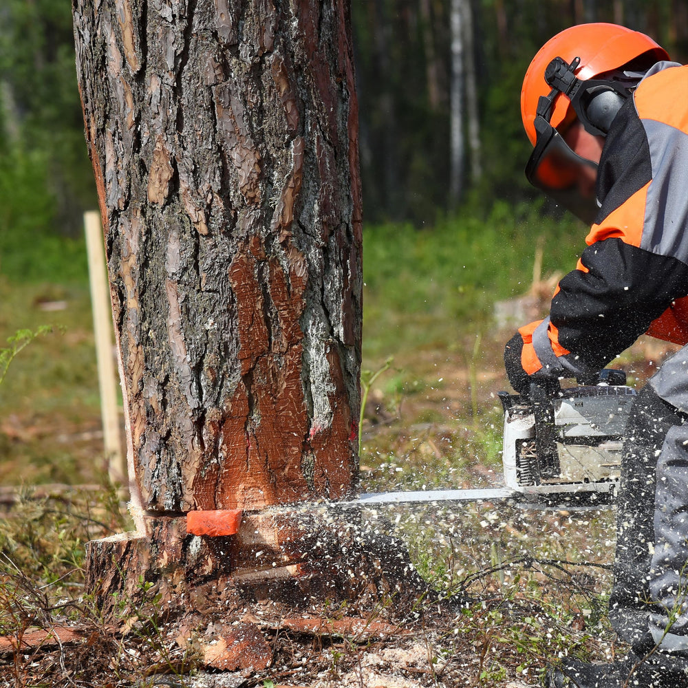 UNCO tree felling wedges with packaging