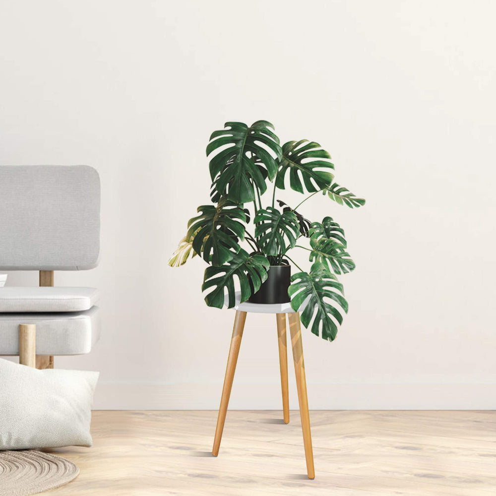 Uneedem Plant Stand with various shaped flower pots