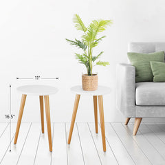 Uneedem Wood Mid Century Plant Stand top view with pot